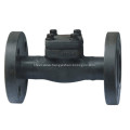 API602 Forged Check Valve